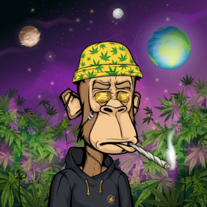 4200 Monkeys